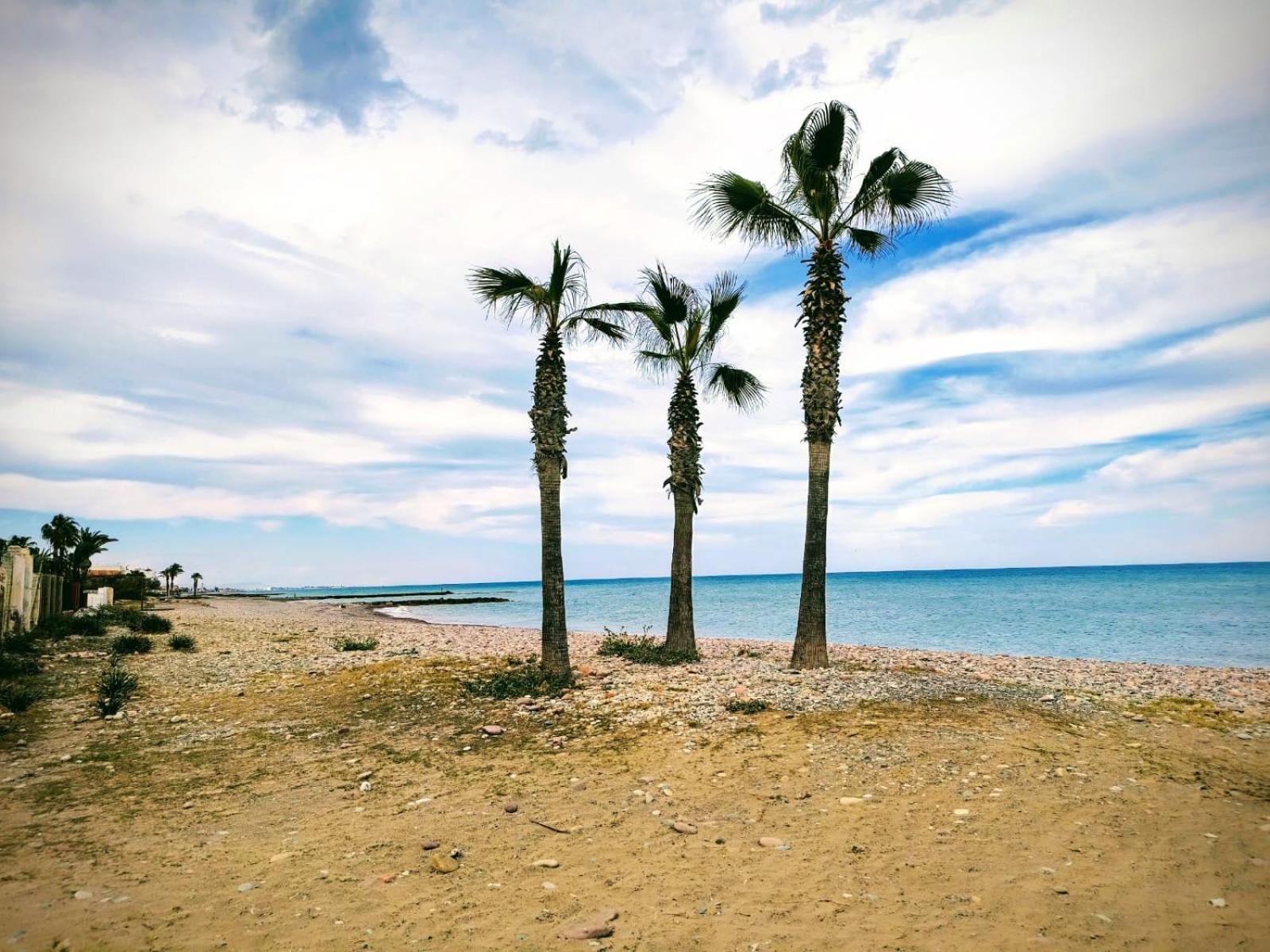 Apartamento Cerca De La Playa Moncófar Buitenkant foto